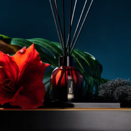 Диффузор «Dark Patchouli»<br>100 мл Диффузор «Dark Patchouli»<br>100 мл